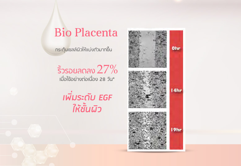 Bio Placenta